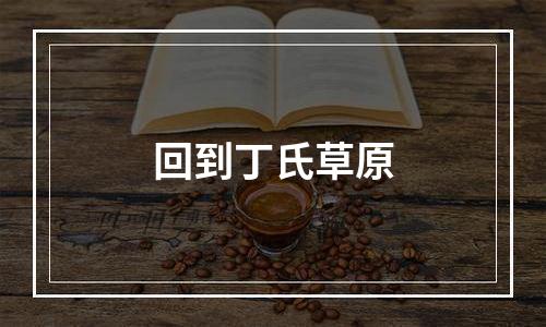 回到丁氏草原