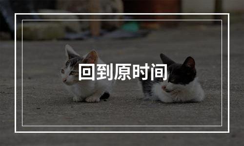 回到原时间