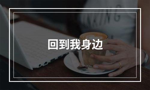 回到我身边