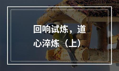 回响试炼，道心淬炼（上）