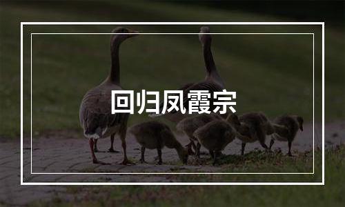 回归凤霞宗
