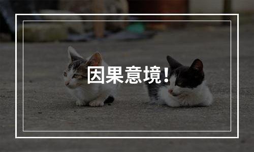 因果意境！