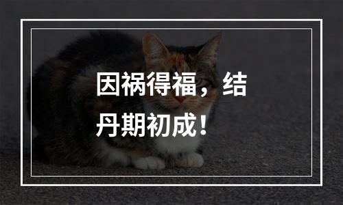 因祸得福，结丹期初成！