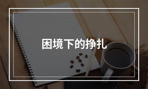 困境下的挣扎