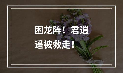 困龙阵！君逍遥被救走！