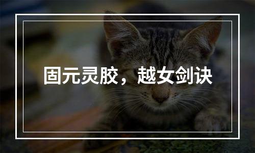 固元灵胶，越女剑诀