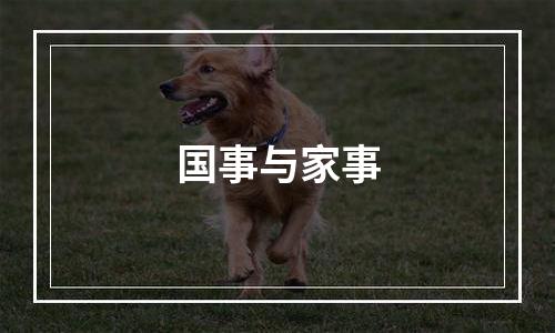 国事与家事