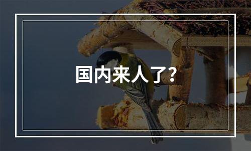 国内来人了？