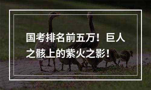 国考排名前五万！巨人之骸上的紫火之影！