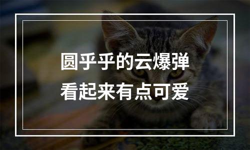 圆乎乎的云爆弹看起来有点可爱