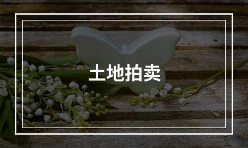 土地拍卖