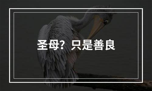 圣母？只是善良