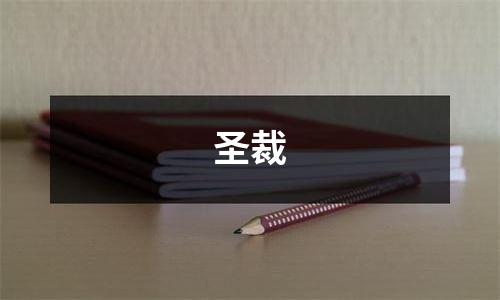 圣裁