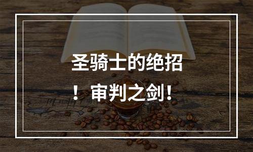 圣骑士的绝招！审判之剑！