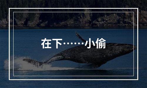 在下……小偷
