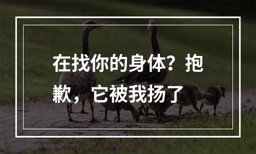 在找你的身体？抱歉，它被我扬了
