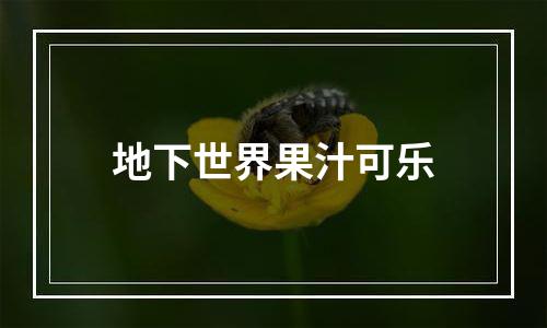 地下世界果汁可乐