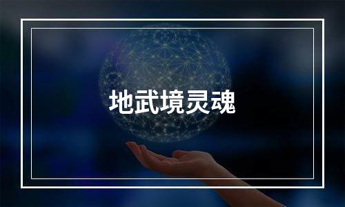 地武境灵魂