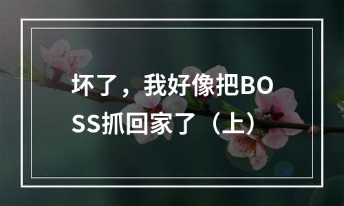 坏了，我好像把BOSS抓回家了（上）