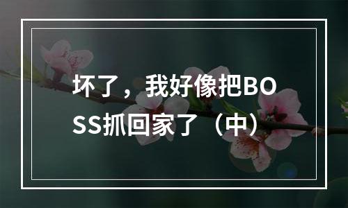 坏了，我好像把BOSS抓回家了（中）