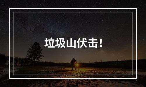 垃圾山伏击！