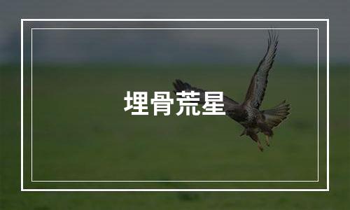 埋骨荒星