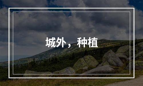 城外，种植