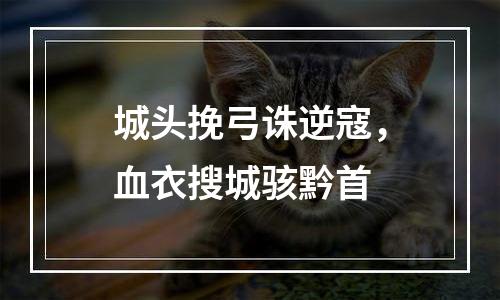 城头挽弓诛逆寇，血衣搜城骇黔首