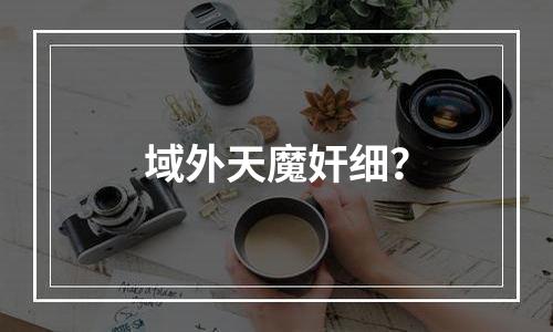 域外天魔奸细？