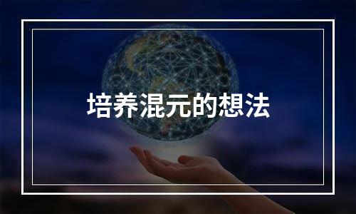 培养混元的想法