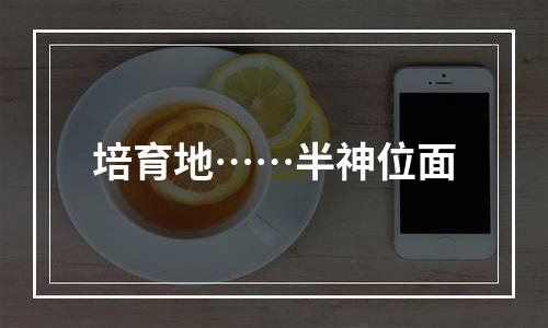 培育地……半神位面