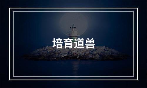 培育道兽