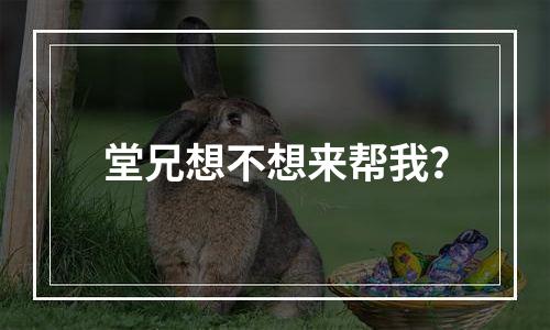堂兄想不想来帮我？