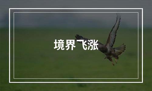 境界飞涨