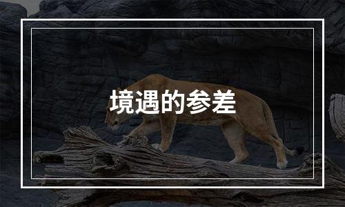 境遇的参差