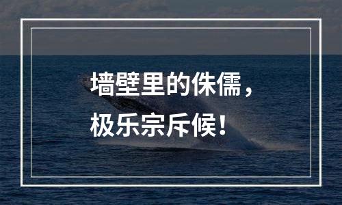 墙壁里的侏儒，极乐宗斥候！