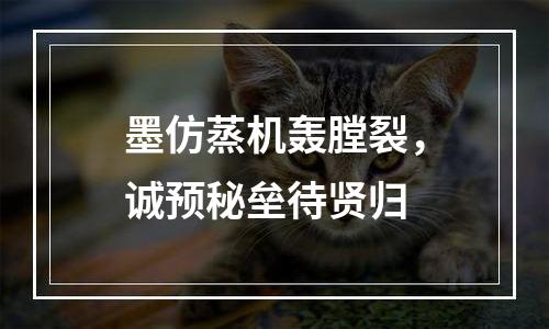 墨仿蒸机轰膛裂，诚预秘垒待贤归
