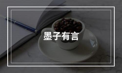 墨子有言