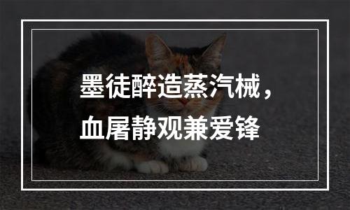墨徒醉造蒸汽械，血屠静观兼爱锋