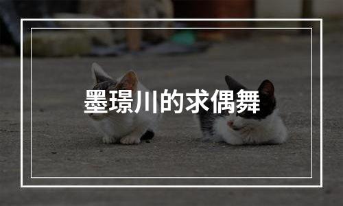 墨璟川的求偶舞