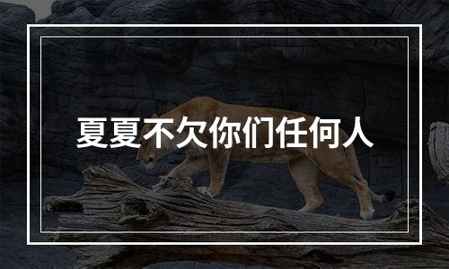 夏夏不欠你们任何人
