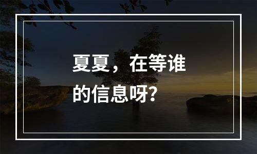 夏夏，在等谁的信息呀？
