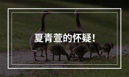 夏青萱的怀疑！