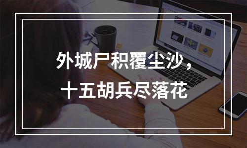 外城尸积覆尘沙， 十五胡兵尽落花