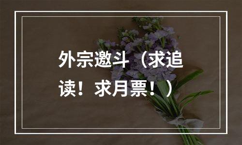 外宗邀斗（求追读！求月票！）
