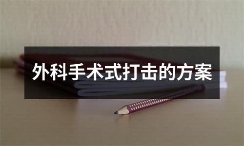 外科手术式打击的方案