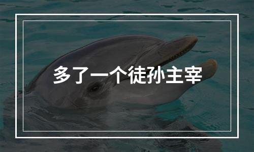 多了一个徒孙主宰