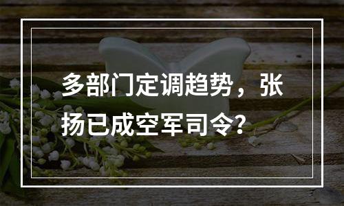 多部门定调趋势，张扬已成空军司令？