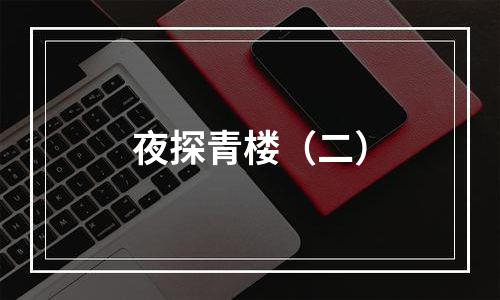 夜探青楼（二）