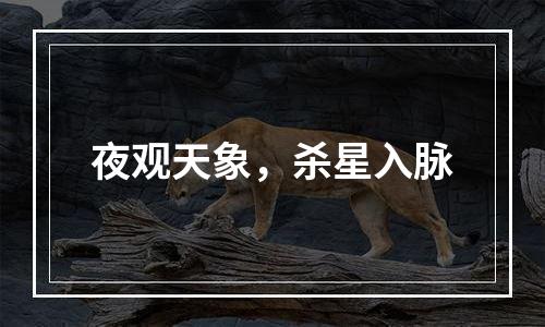 夜观天象，杀星入脉